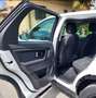 Land Rover Discovery Sport Discovery Sport I 2015 2.0 td4 HSE awd 150cv auto Bianco - thumbnail 3