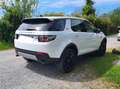 Land Rover Discovery Sport Discovery Sport I 2015 2.0 td4 HSE awd 150cv auto Bianco - thumbnail 5