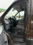 Ford Transit 2,0 TDCi 310 L3 H2 Trend Kasten Voll Fahrbereit Braun - thumbnail 9