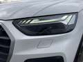Audi Q5 40 TDI Intense quattro basis Weiß - thumbnail 5