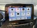 Ford Fiesta 1.0 Ecoboost 125 Vignale Gris - thumbnail 21