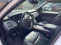 Land Rover Range Rover Sport 3.0 TDV6 HSE Dynamic PANO NAVI Bianco - thumbnail 9