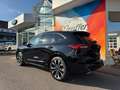 Ford Kuga Hybrid ST-Line X Pano ACC HuD Winter Paket Schwarz - thumbnail 11