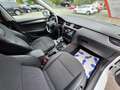 Skoda Octavia Style 1.6 TDI DSG LED ACC eHeck Weiß - thumbnail 16