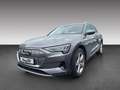 Audi e-tron 50 quattro advanced SHZ Klima Grau - thumbnail 4