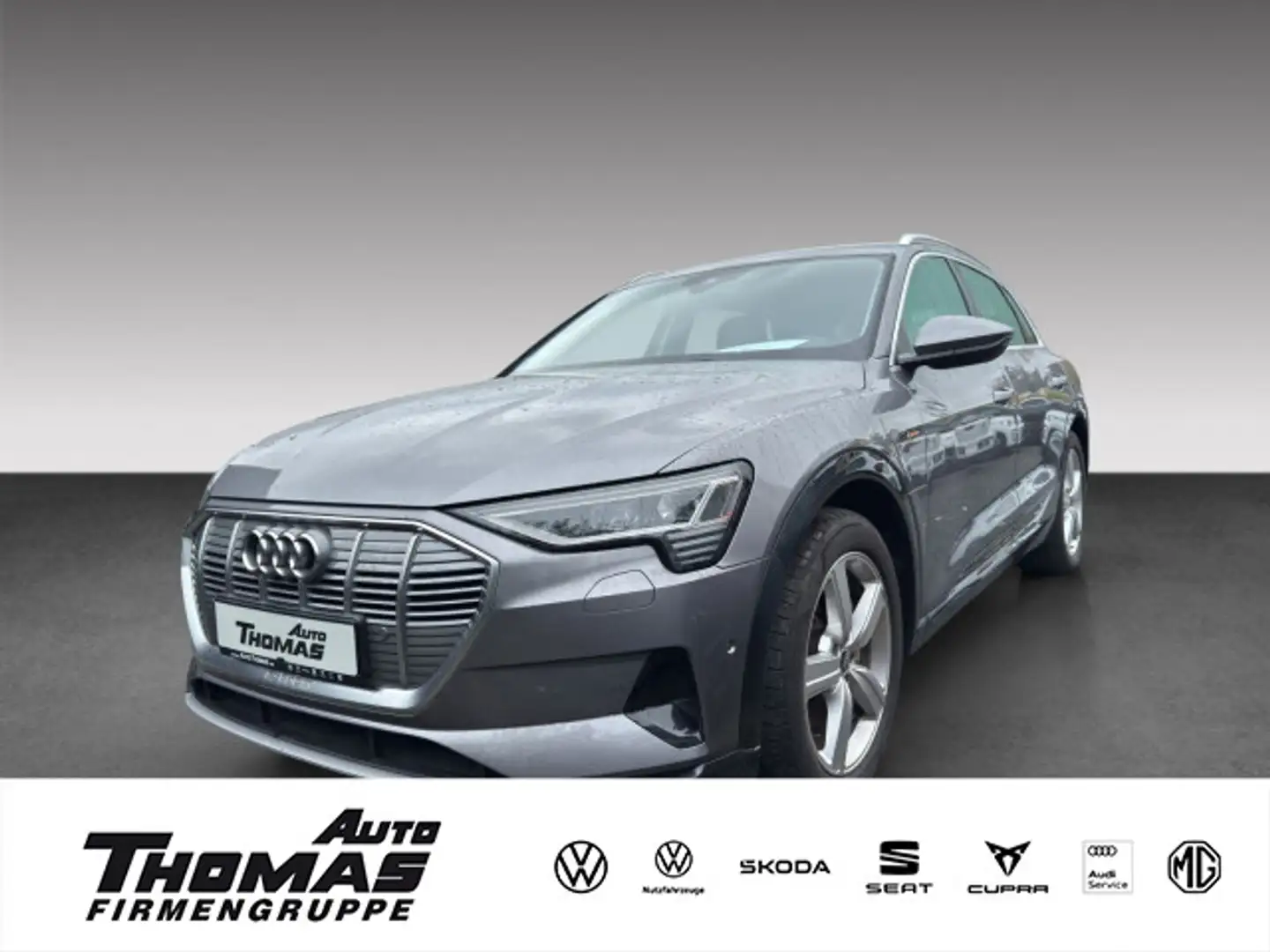 Audi e-tron 50 quattro advanced SHZ Klima Gris - 1