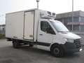 Mercedes-Benz Sprinter 314 CDI T39/35 Frigo FRCX FWD Motore Rotto Bianco - thumbnail 2