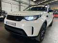 Land Rover Discovery 2.0SD4 HSE Aut. Blanco - thumbnail 27