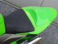 Kawasaki Z 1000 Verde - thumbnail 15