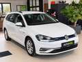 Volkswagen Golf Variant Comfortline-TGI-DSG-Tempomat+Kamera+1.Besitz+AHK Weiß - thumbnail 5