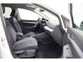 Volkswagen Golf VIII 2.0 TDI Goal DSG,Navi,LED,ACC Weiß - thumbnail 25