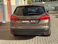 Ford Focus Wagon 1.0 Titanium Edition, Navi, Nieuwe Distribut Marrone - thumbnail 6