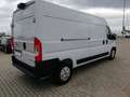 Opel Movano Kasten H2 2.2 35 verstärkt L3H2 BlueHDI 140 Blanco - thumbnail 3