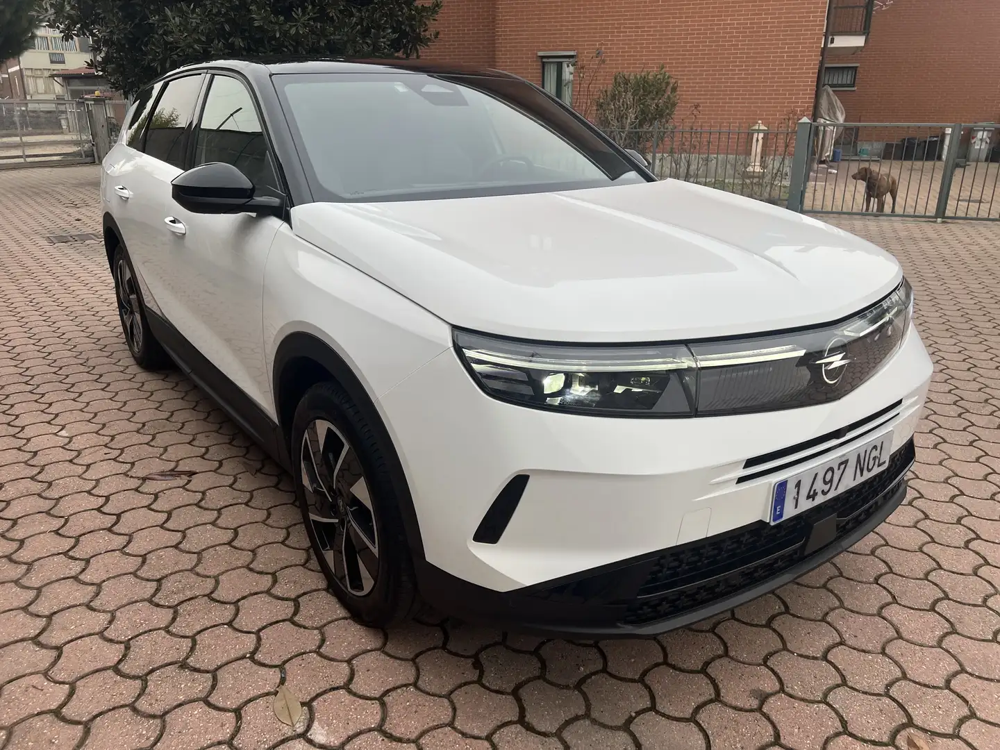 Opel Grandland 1.2 hybrid GS s&s 136cv XHT dct6 Bianco - 2