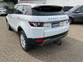 Land Rover Range Rover Evoque Pure Weiß - thumbnail 3