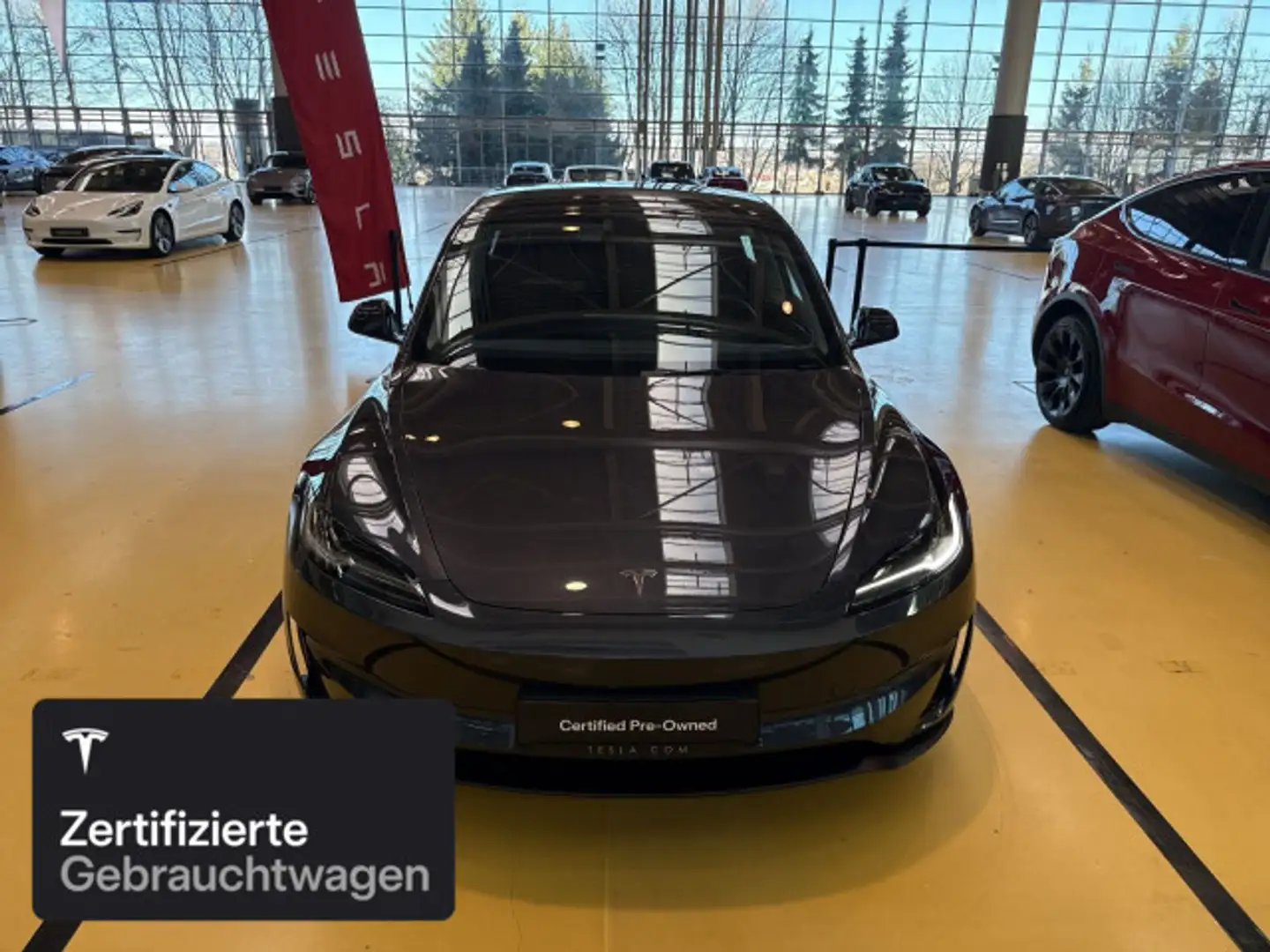 Tesla Model 3 Performance Grau - 2