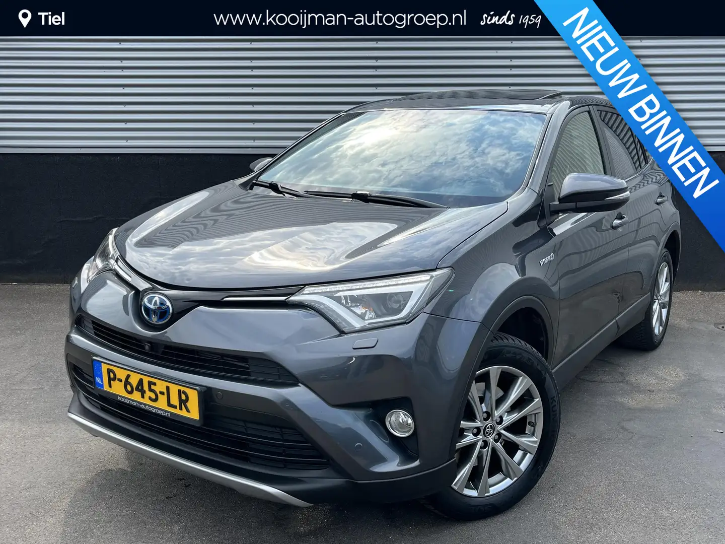 Toyota RAV 4 2.5 Hybrid Executive Schuif/kanteldak, Trekhaak, S Grijs - 1