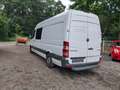 Mercedes-Benz Sprinter 310/311/313/314/316 CDI (906.631/633/635/637) Weiß - thumbnail 4