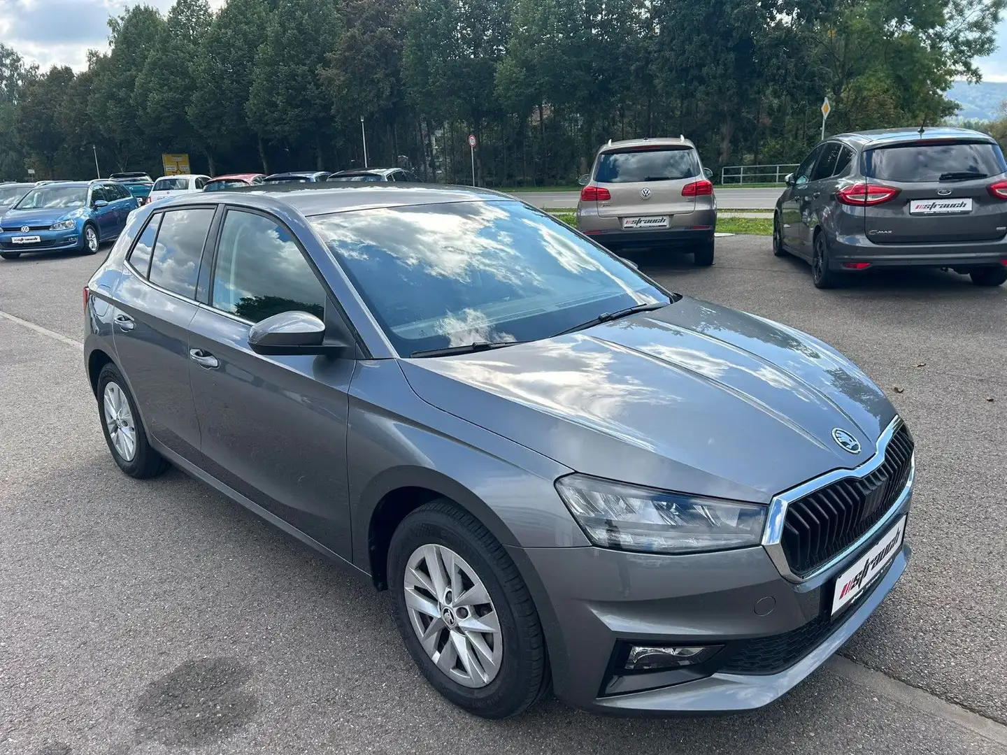 Skoda Fabia Selection LED DAB AppleCarPlay Spur Grau - 2
