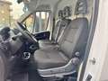 Fiat Ducato 30 2.2 Mjt 120CV PM-TM Furgone Bianco - thumbnail 9