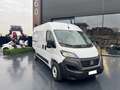 Fiat Ducato 30 2.2 Mjt 120CV PM-TM Furgone Bianco - thumbnail 2