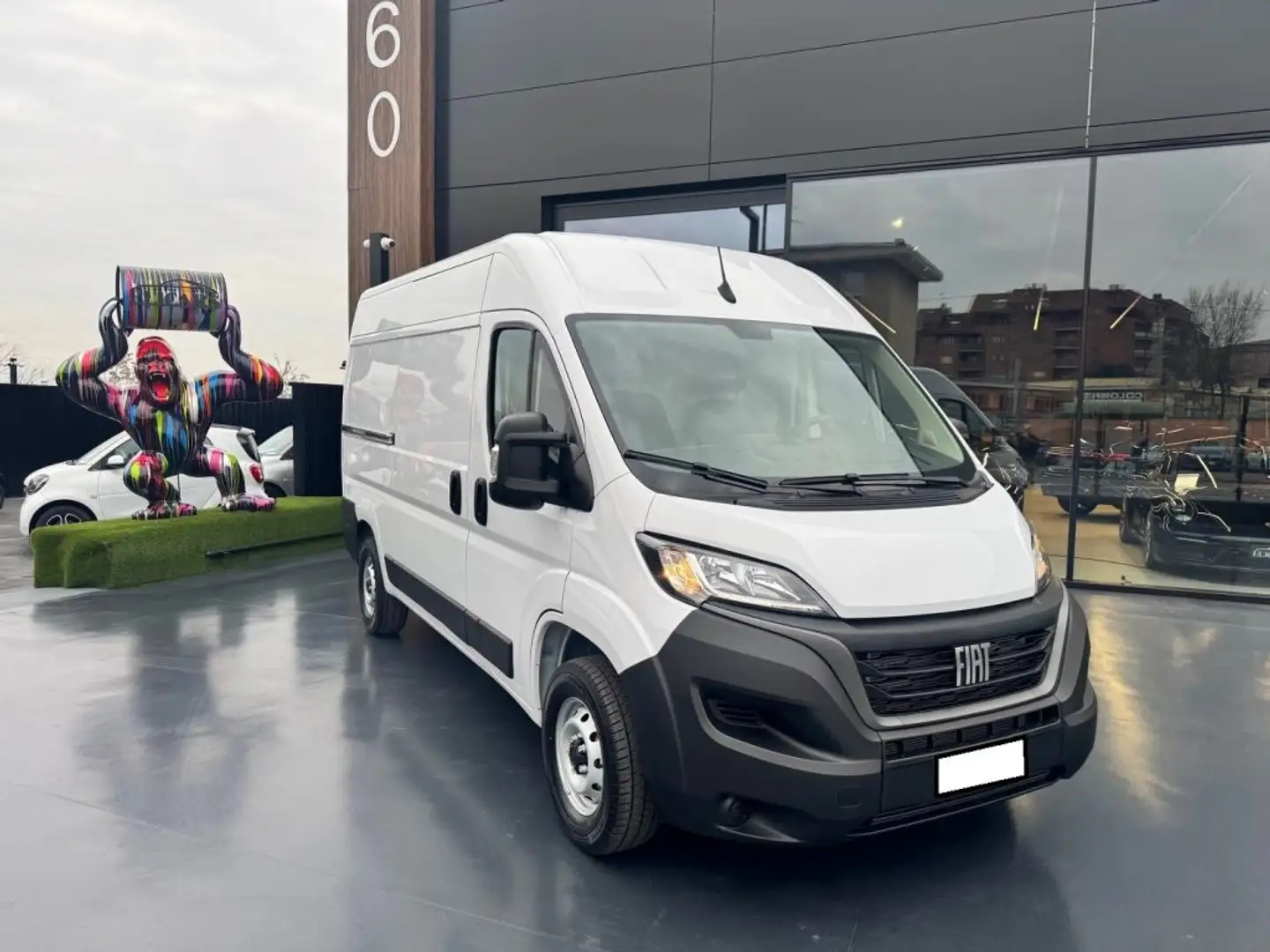 Fiat Ducato 30 2.2 Mjt 120CV PM-TM Furgone Bianco - 2