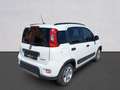 Fiat Panda Panda III 2021 1.0 firefly hybrid City Life s Bianco - thumbnail 5