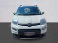 Fiat Panda Panda III 2021 1.0 firefly hybrid City Life s Bianco - thumbnail 2