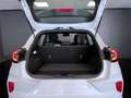 Ford Puma 1.0 EcoBoost Hybrid 125 CV S&S aut. ST-Line Білий - thumbnail 9