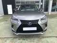 Lexus NX 300 300h Premium 2WD Gris - thumbnail 2