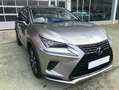 Lexus NX 300 300h Premium 2WD Gris - thumbnail 3