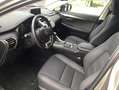 Lexus NX 300 300h Premium 2WD Gris - thumbnail 9