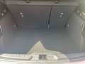 Ford Focus Focus 1.5 EcoBlue S&S Aut. ST-LINE *ACC*LED*KAMERA Argintiu - thumbnail 7
