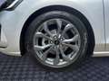 Ford Focus Focus 1.5 EcoBlue S&S Aut. ST-LINE *ACC*LED*KAMERA Argintiu - thumbnail 14