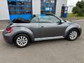 Volkswagen Beetle Cabriolet Design 2.0TDi orig. 25.900km Szary - thumbnail 17