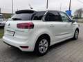 Citroen C4 SpaceTourer C4 Spacetourer 1.6 BlueHDi Business Lounge S Weiß - thumbnail 6