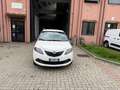 Lancia Ypsilon Ypsilon III 1.0 firefly hybrid Gold s Blanc - thumbnail 2