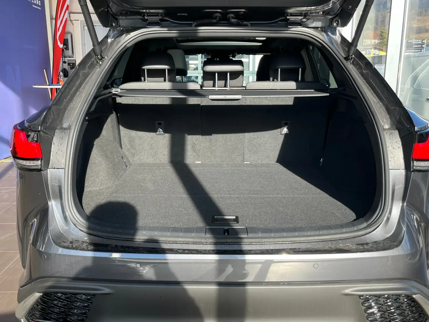 Lexus RX 450h 450h+ F SPORT Design Gris - 2