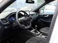 Ford Kuga 2.0 EcoBlue Hybrid ST-LINE X ACC*BLIS*2xKamera*B&O Weiß - thumbnail 16