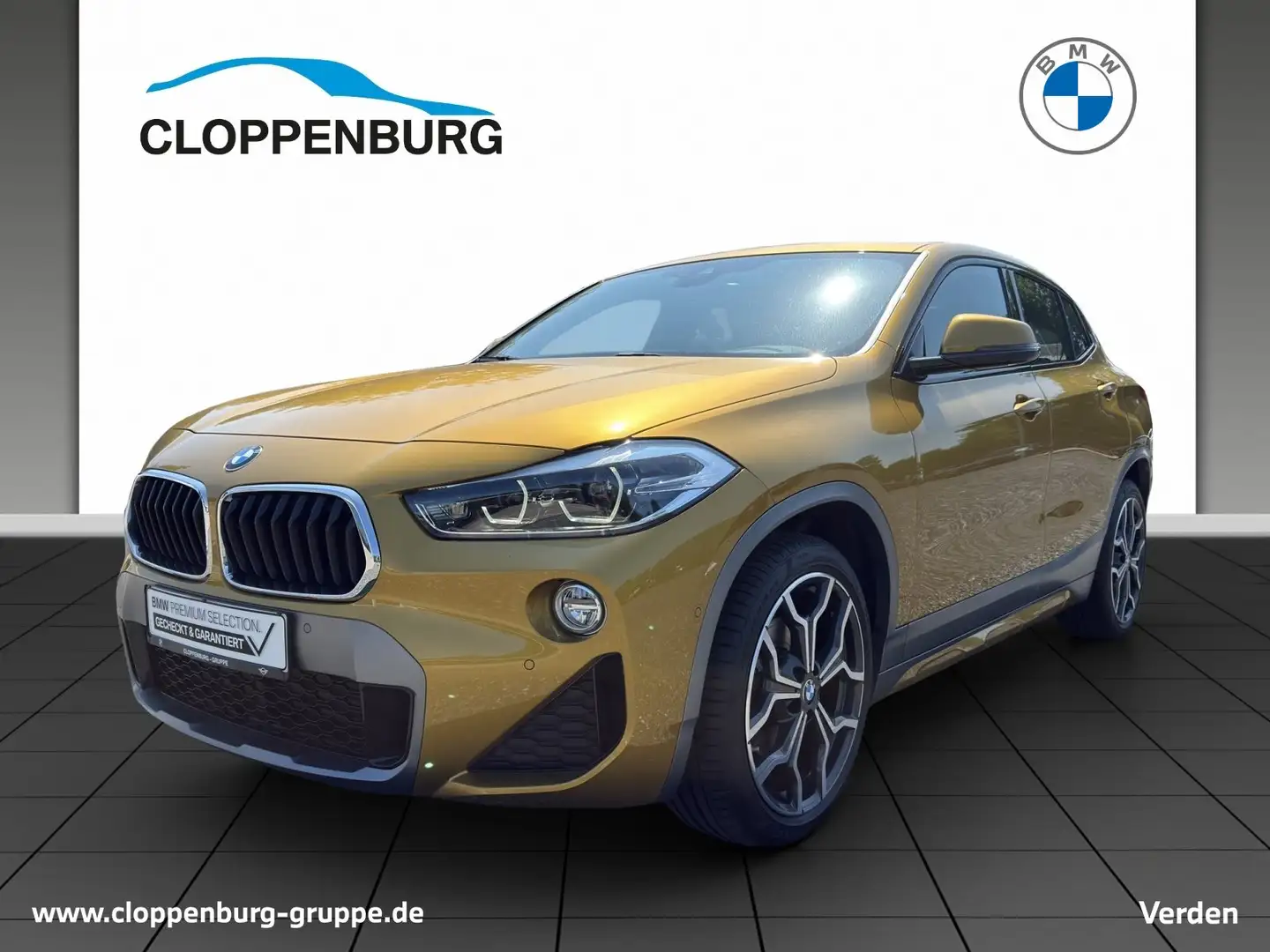 BMW X2 sDrive18d HiFi LED WLAN Pano.Dach Navi Shz Geel - 1