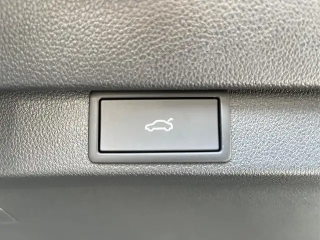 Skoda Octavia Combi RS 265PS DSG HUD+Pano+360°+DCC+AHK+CANTON... Ansicht 23