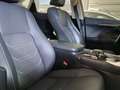 Lexus NX 300h NX 300h E-FOUR Executive Line Blanc - thumbnail 5