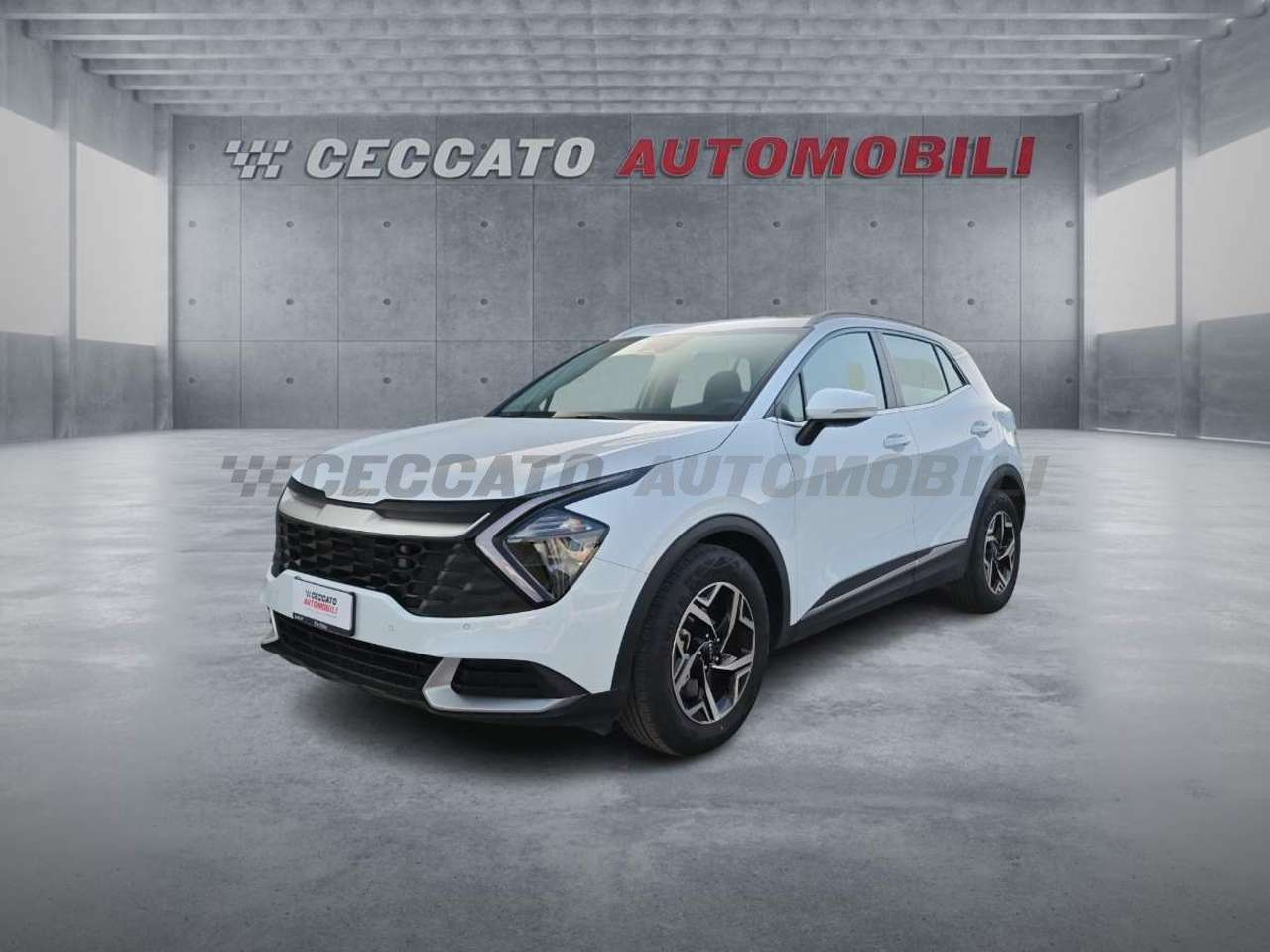 Kia Sportage Sportage 1.6 crdi mhev Business dct