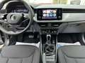 Skoda Kamiq Automatik TOUR DE FRANCE Teil LED Gris - thumbnail 10