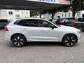 Volvo XC60 T8 AWD Plus Dark Pano 360° H&K St-H Blanc - thumbnail 7