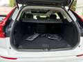 Volvo XC60 T8 AWD Plus Dark Pano 360° H&K St-H Blanc - thumbnail 11