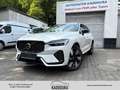 Volvo XC60 T8 AWD Plus Dark Pano 360° H&K St-H Blanc - thumbnail 1