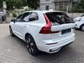Volvo XC60 T8 AWD Plus Dark Pano 360° H&K St-H Blanc - thumbnail 4