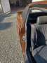 Triumph Sonstige coupe TR7 - thumbnail 6