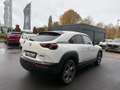Mazda MX-30 Advantage 3-Phasig **6 Jahre Garantie** Weiß - thumbnail 7